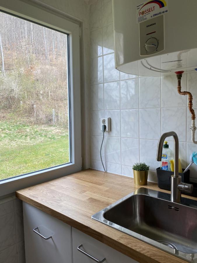 Willa Ferienhaus "Am Reiterhof" Wernigerode Zewnętrze zdjęcie