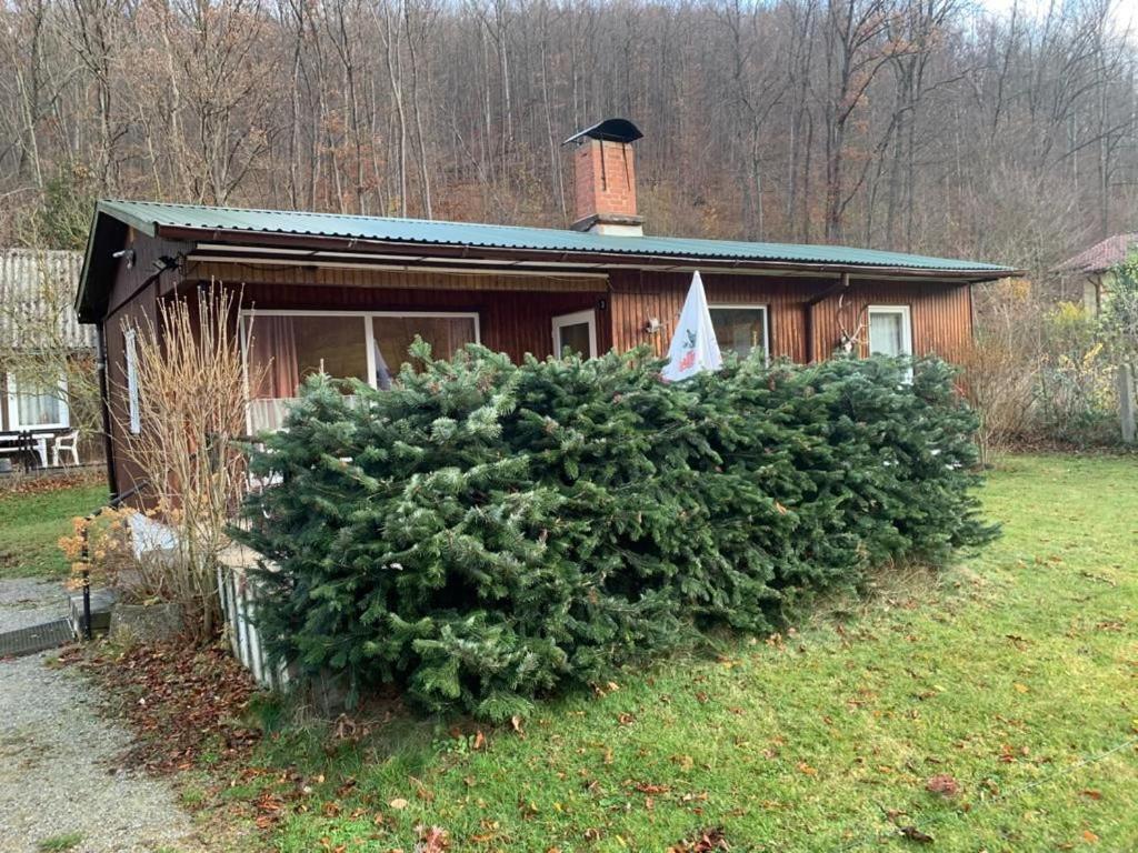 Willa Ferienhaus "Am Reiterhof" Wernigerode Zewnętrze zdjęcie